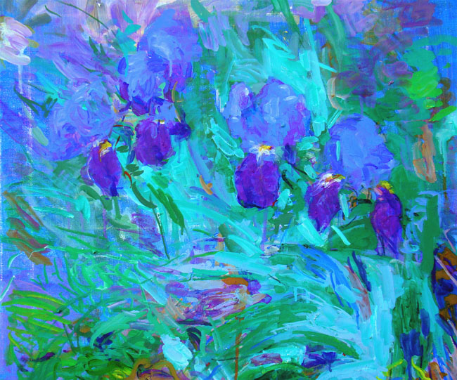 iris